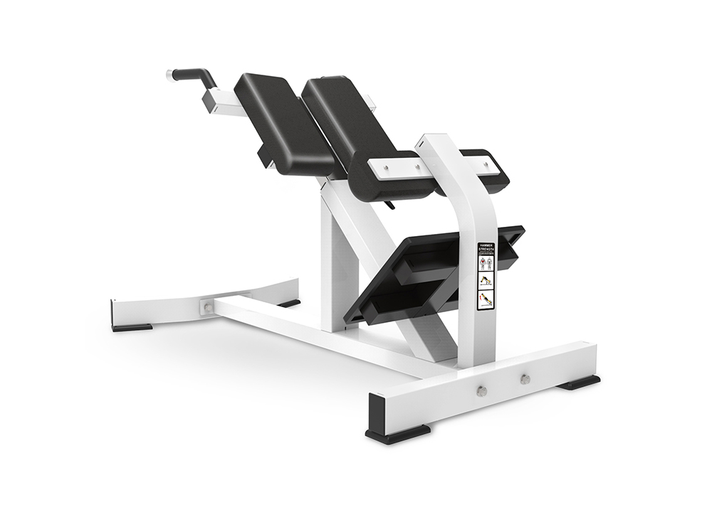 TM11 Back Extension